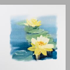 Art Card Seerosen