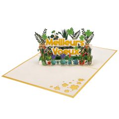 Carte Pop Up Plantes Meilleurs Voeux 