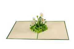 Carte personalisée Technorama Winterthur Fleurs