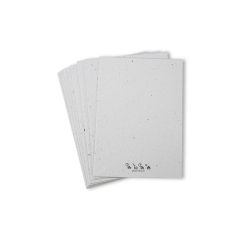 Papier ensemencé - Set Growing Paper de papier vierge et de bricolage: 10 pièces A6