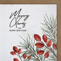 Growing Paper-Karte quadrat Fichtenzweige Merry Christmas 