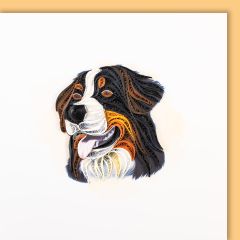 Quilling-Karte Berner Sennenhund