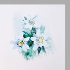 Art Card Trio d'edelweiss