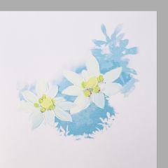 Art Card Edelweiss-Duo