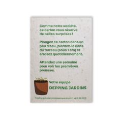 Carte Growing paper personalise Axpo