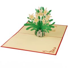 Carte 3D Pop-up Edelweiss rouge