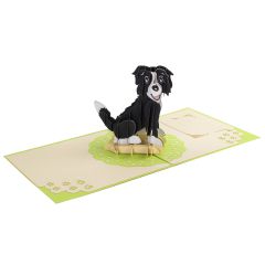 ACTION **Carte 3D Pop-up Chien vert
