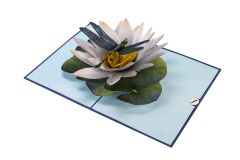 3D Pop-up-Karte Libelle und Seerose blau