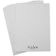 Samenpapier Growing Paper Blanko und Bastel-Papier Set: 5 Stück A4