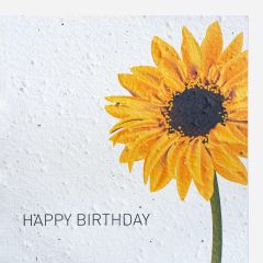 Growing Paper-Karte quadrat Sonnenblume Happy Birthday