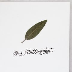 Herbarium-Karte Salbei Bon rétablissement