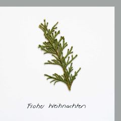 Herbarium-Karte Thujazweig Frohe Weihnachten