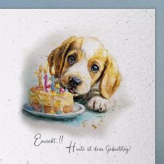 Handmade Paper Karte Hund mit Torte Erwischt! Heute ist dein Geburtstag