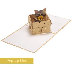 3D Pop-up-Karte Mini Katze hellbrau