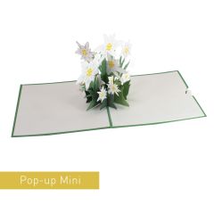 3D Pop-up-Karte Mini Edelweiss grün