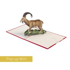 3D Pop-up Karte Mini Steinbock rot
