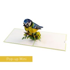 3D Pop-up Karte Mini Blaumeise grün