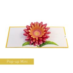 3D Pop-up Karte Mini Gerbera gelb